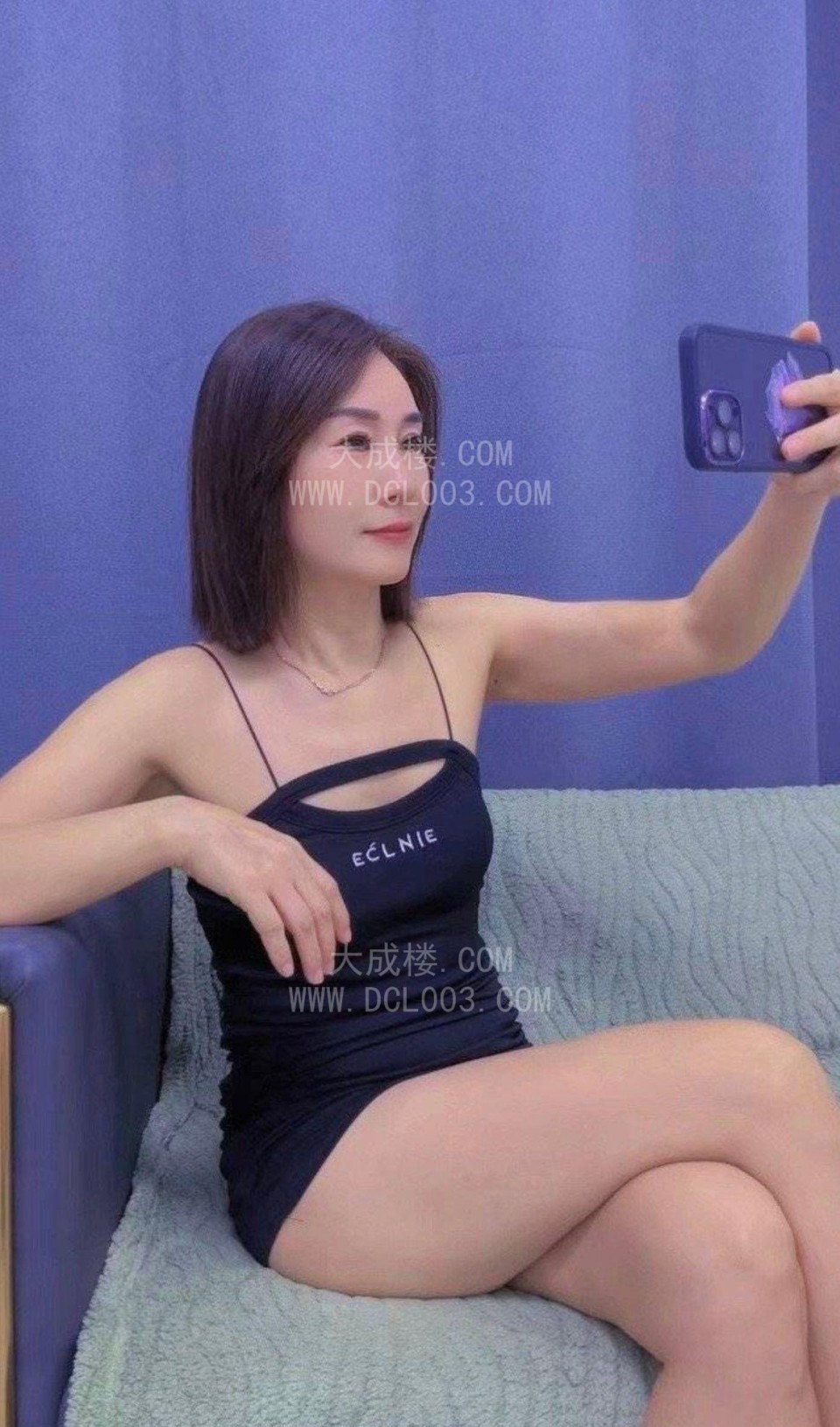海珠南洲小野猫