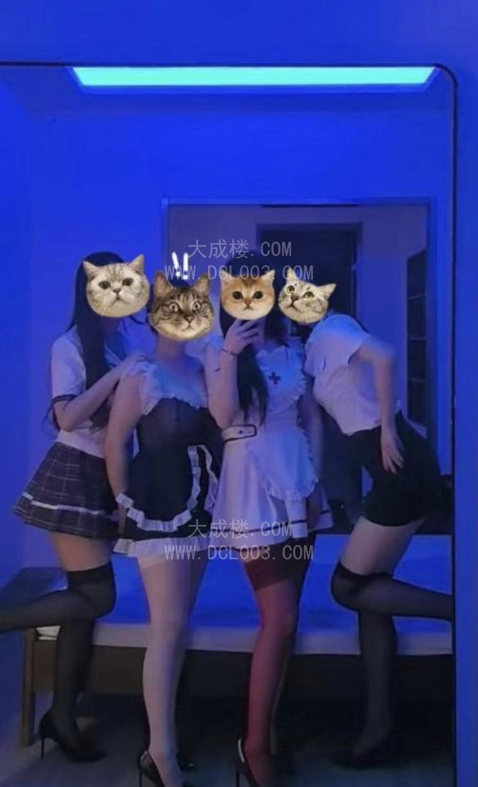 清涩换装主题spa