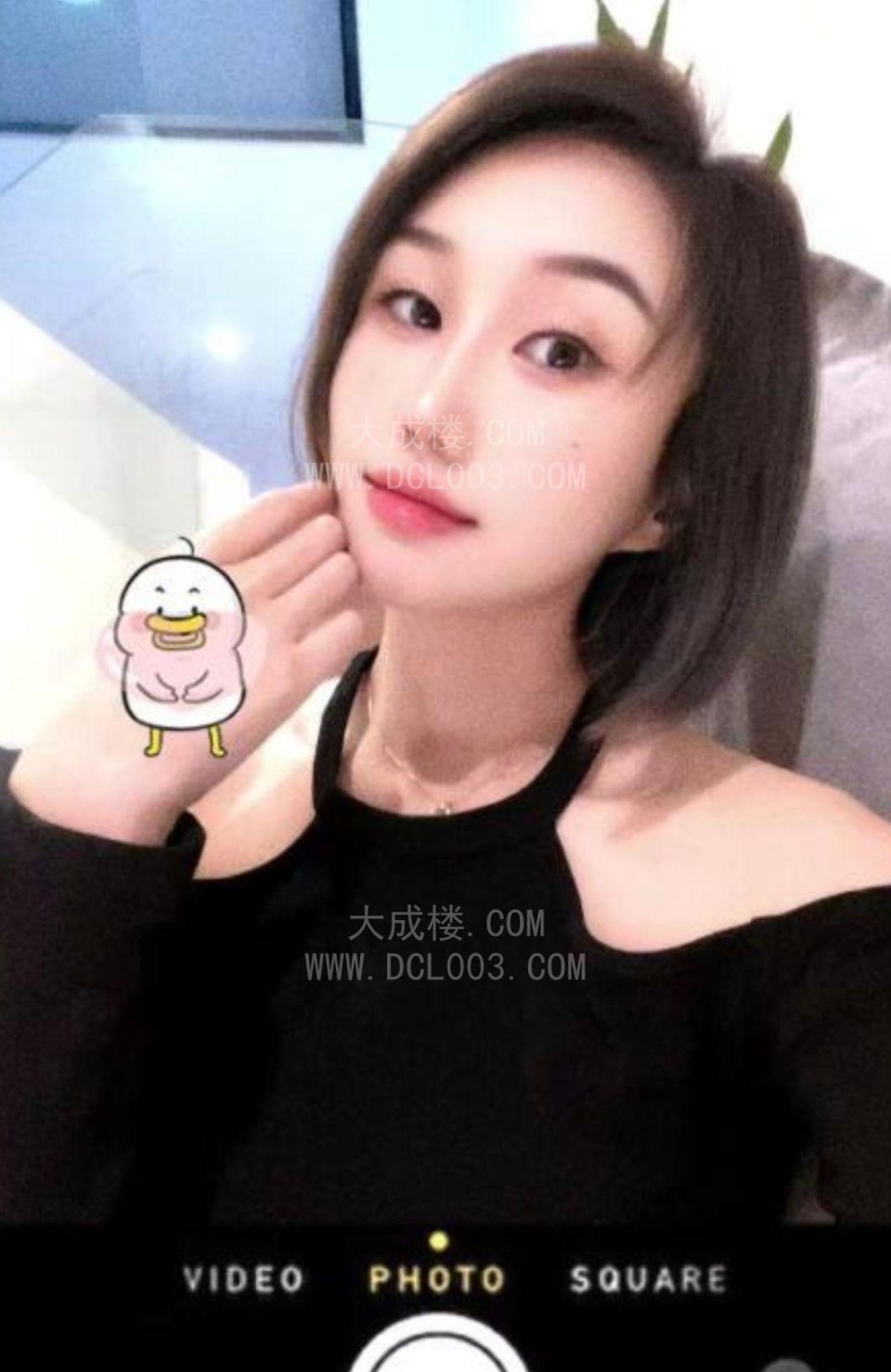 包河万达乐乐